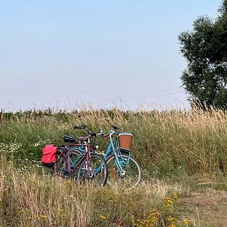 Lwb Ferienwohnung "Auszeit Im Denkmal" Wittenberg Екстер'єр фото